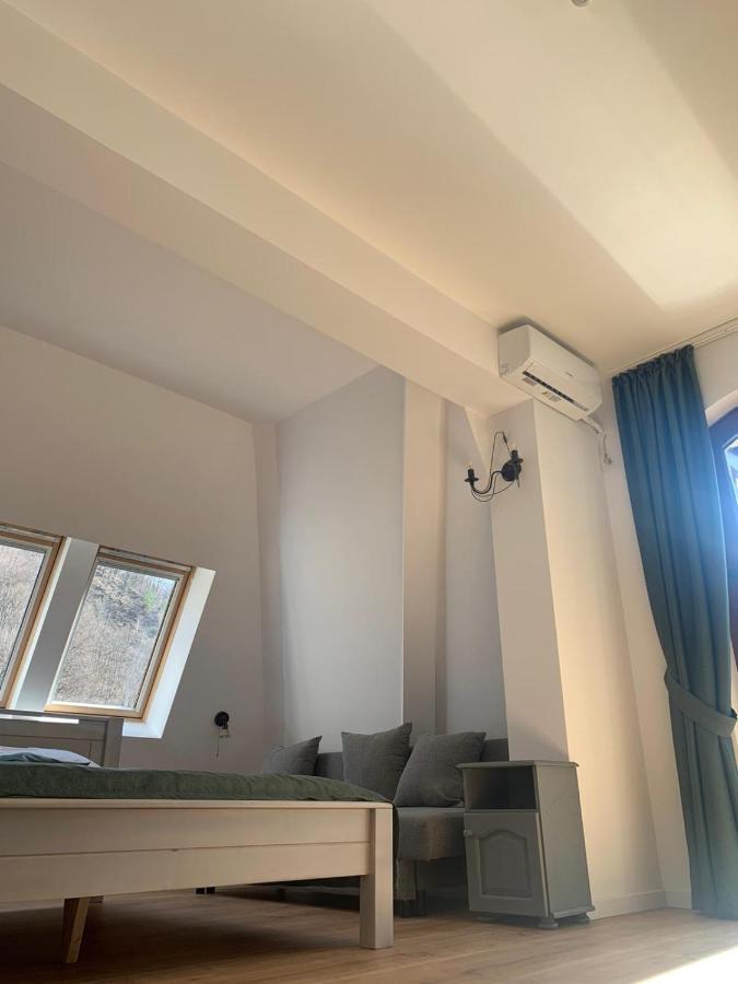 Pension Casa Vanatorilor Băile Olăneşti 외부 사진