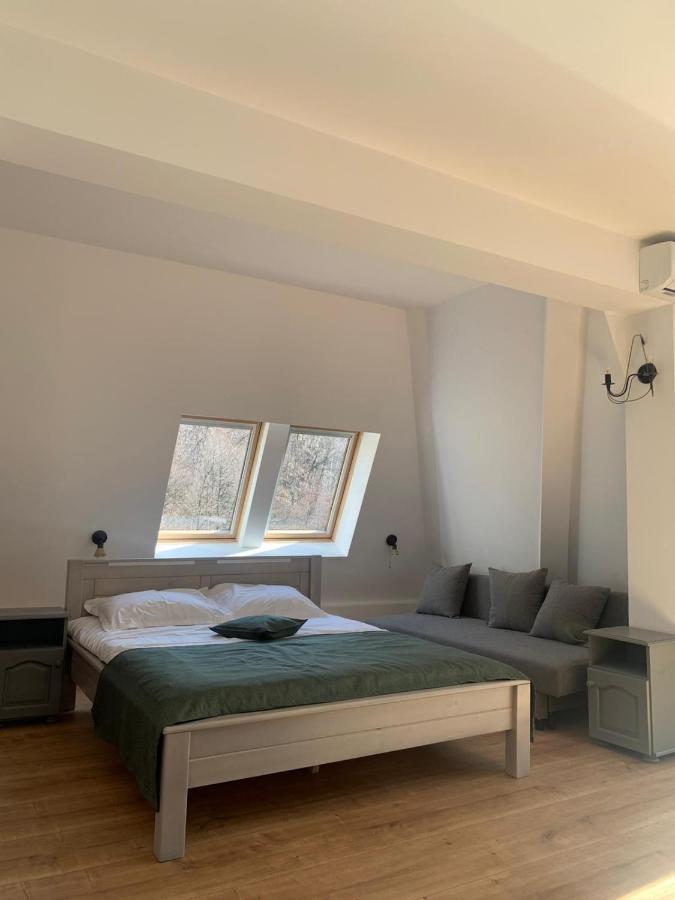Pension Casa Vanatorilor Băile Olăneşti 외부 사진