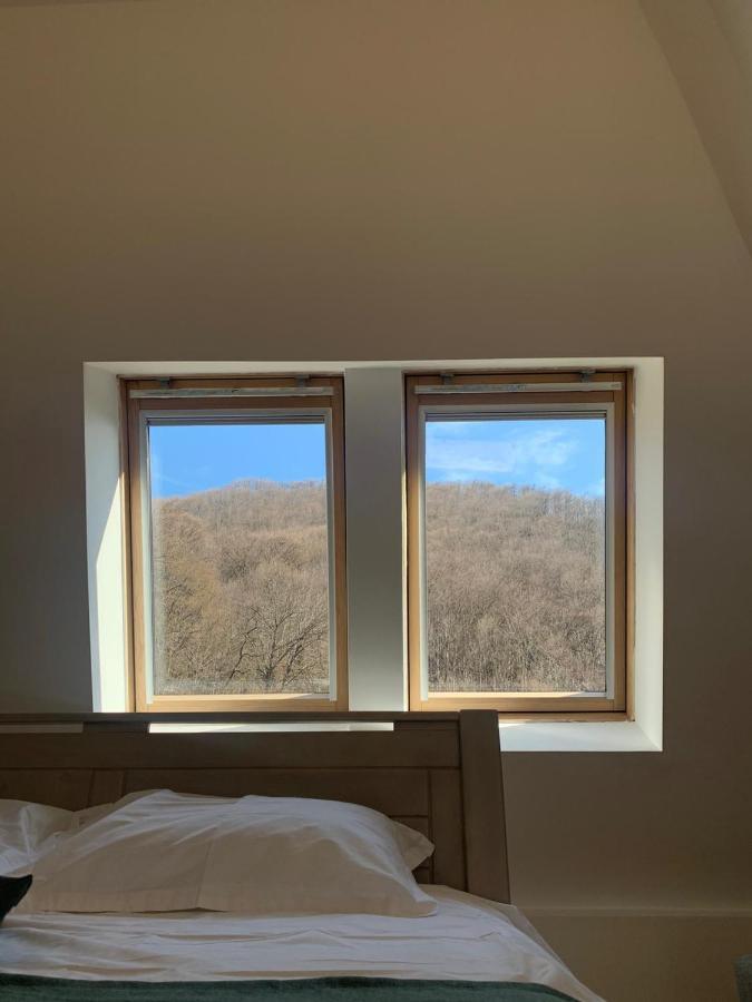Pension Casa Vanatorilor Băile Olăneşti 외부 사진