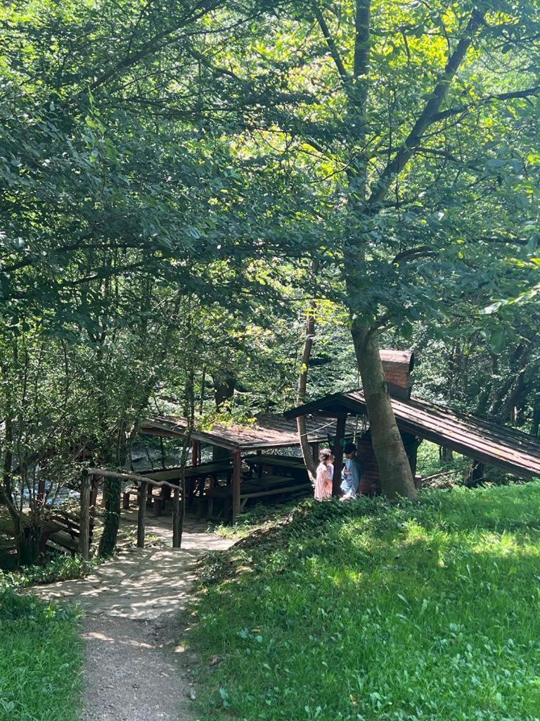 Pension Casa Vanatorilor Băile Olăneşti 외부 사진