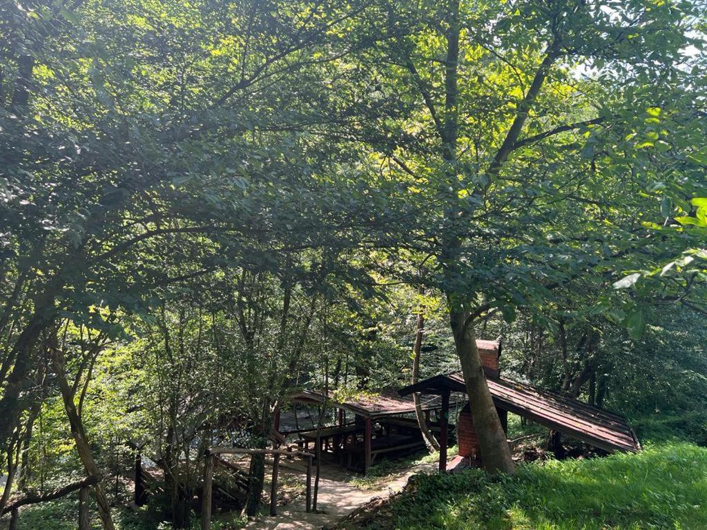 Pension Casa Vanatorilor Băile Olăneşti 외부 사진