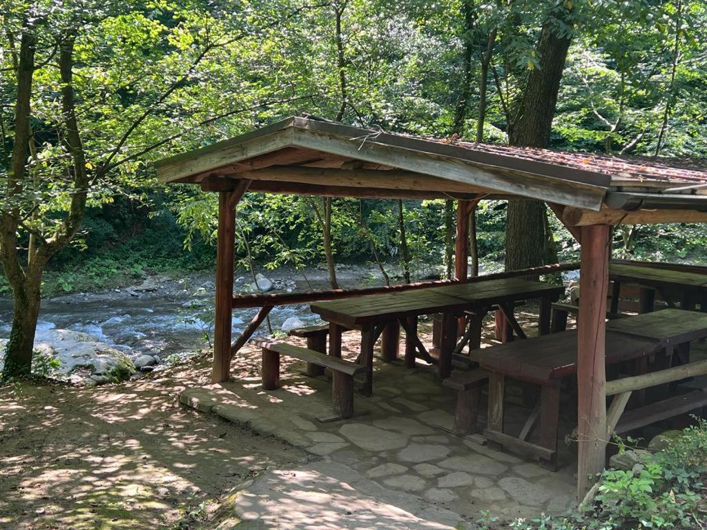 Pension Casa Vanatorilor Băile Olăneşti 외부 사진