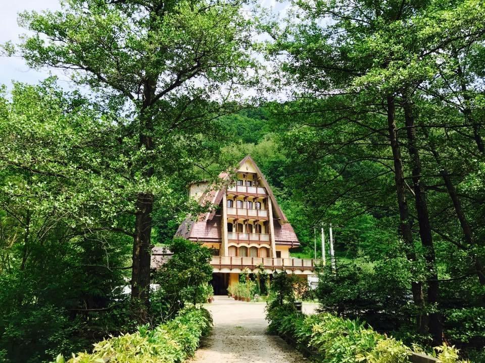 Pension Casa Vanatorilor Băile Olăneşti 외부 사진