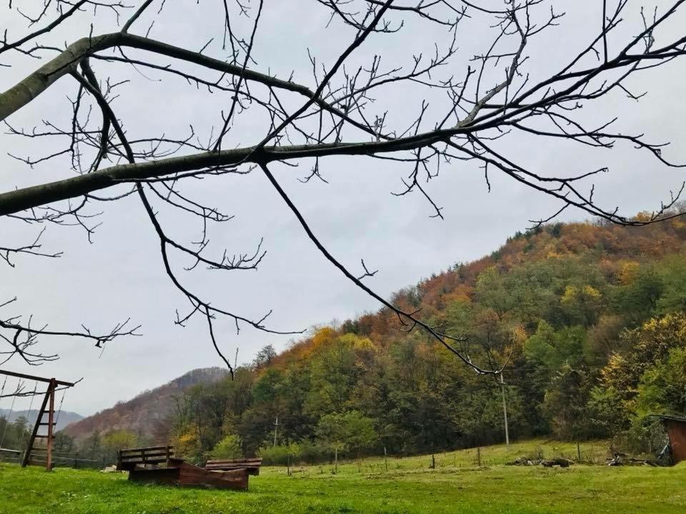 Pension Casa Vanatorilor Băile Olăneşti 외부 사진