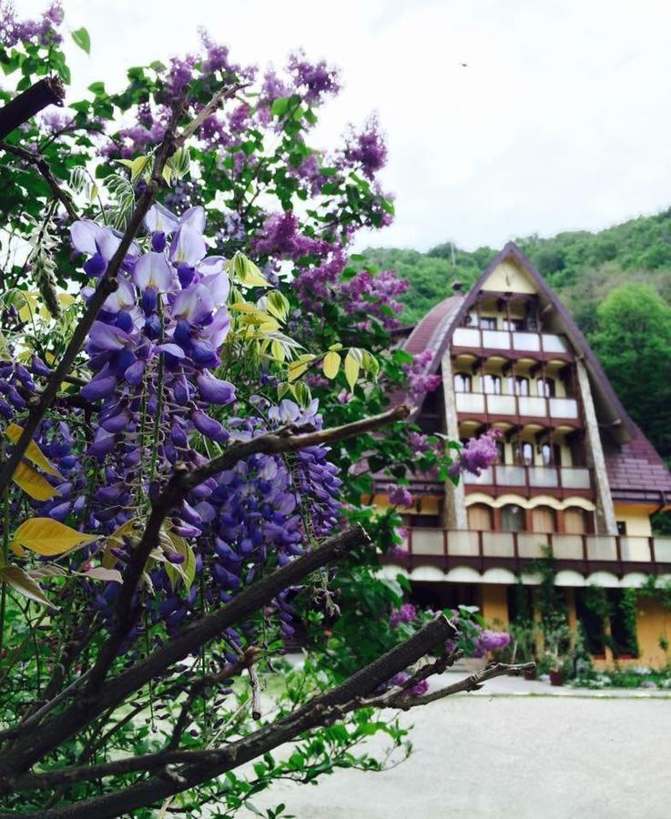 Pension Casa Vanatorilor Băile Olăneşti 외부 사진