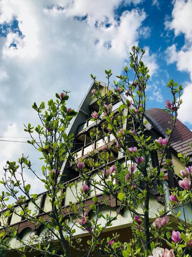 Pension Casa Vanatorilor Băile Olăneşti 외부 사진